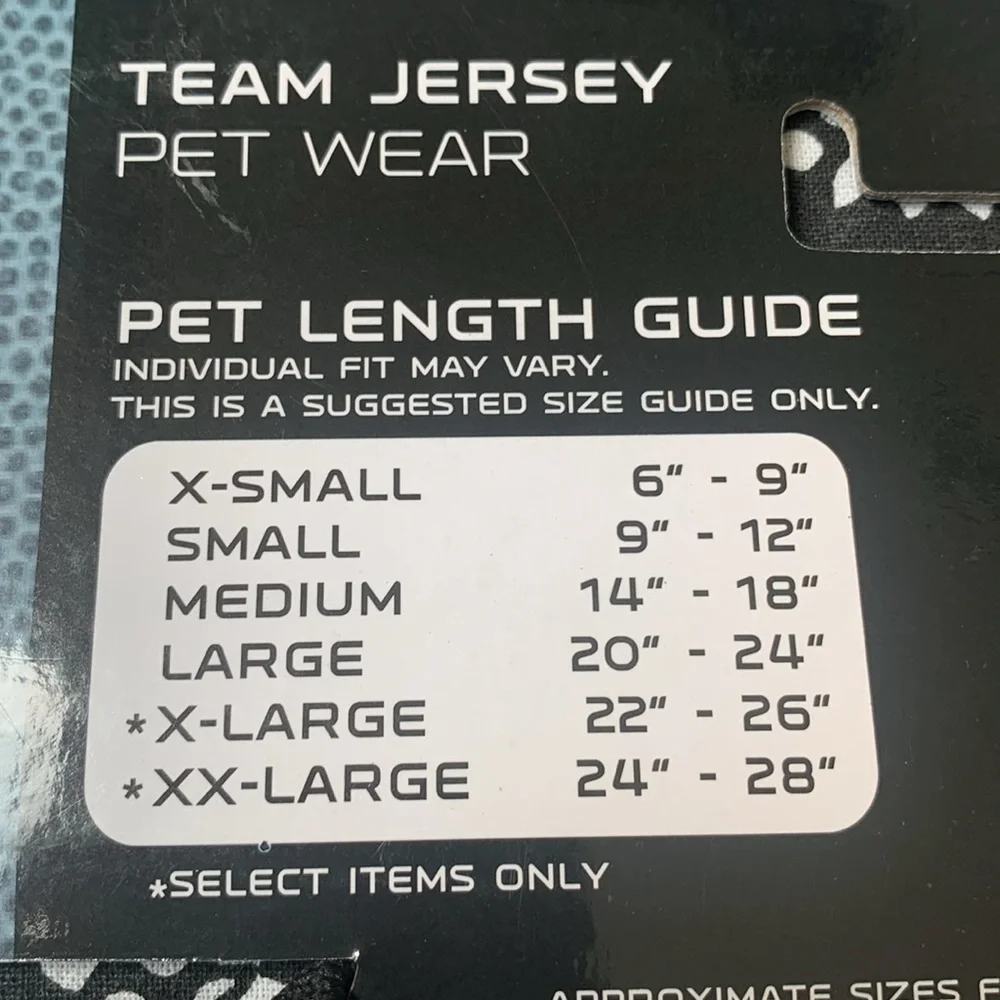 NFL Black Raider Nation Pet Jersey XS